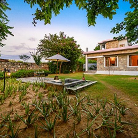 A Dog'S Story, Jaipur Bed & Breakfast Exterior photo