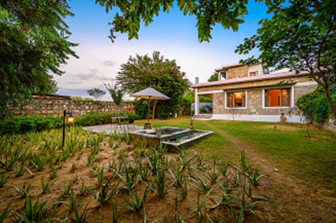 A Dog'S Story, Jaipur Bed & Breakfast Exterior photo